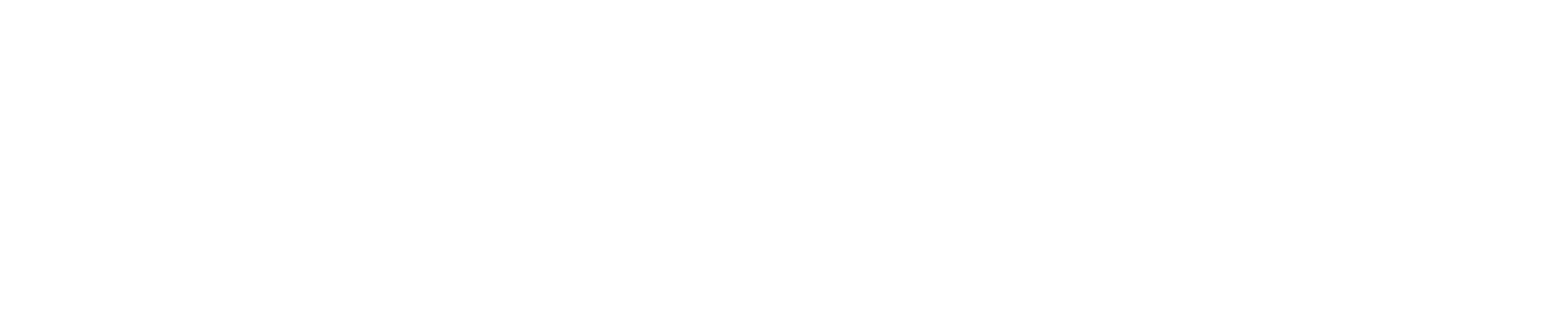 skillscomp biele logo